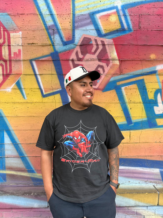 Spider Boxy Oversized Tee